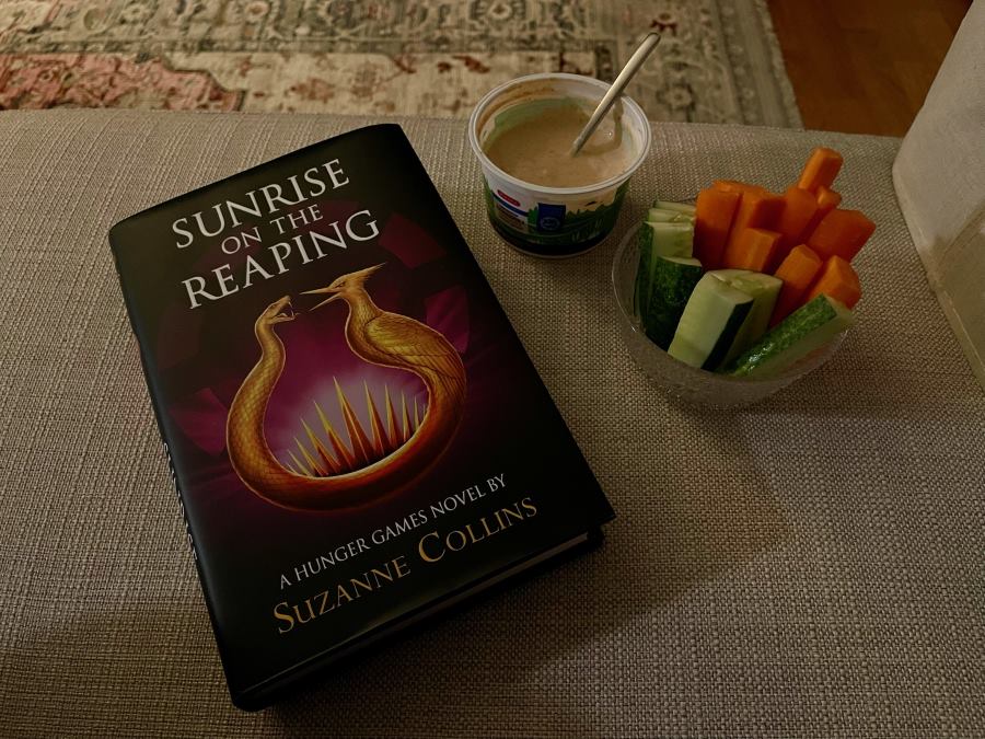 Kirjagramin kesäkisa tehtävän tee dippivihanneksia mukaisesti kuvassa dippivihanneskulho, dippi ja luettavana oleva kirja.